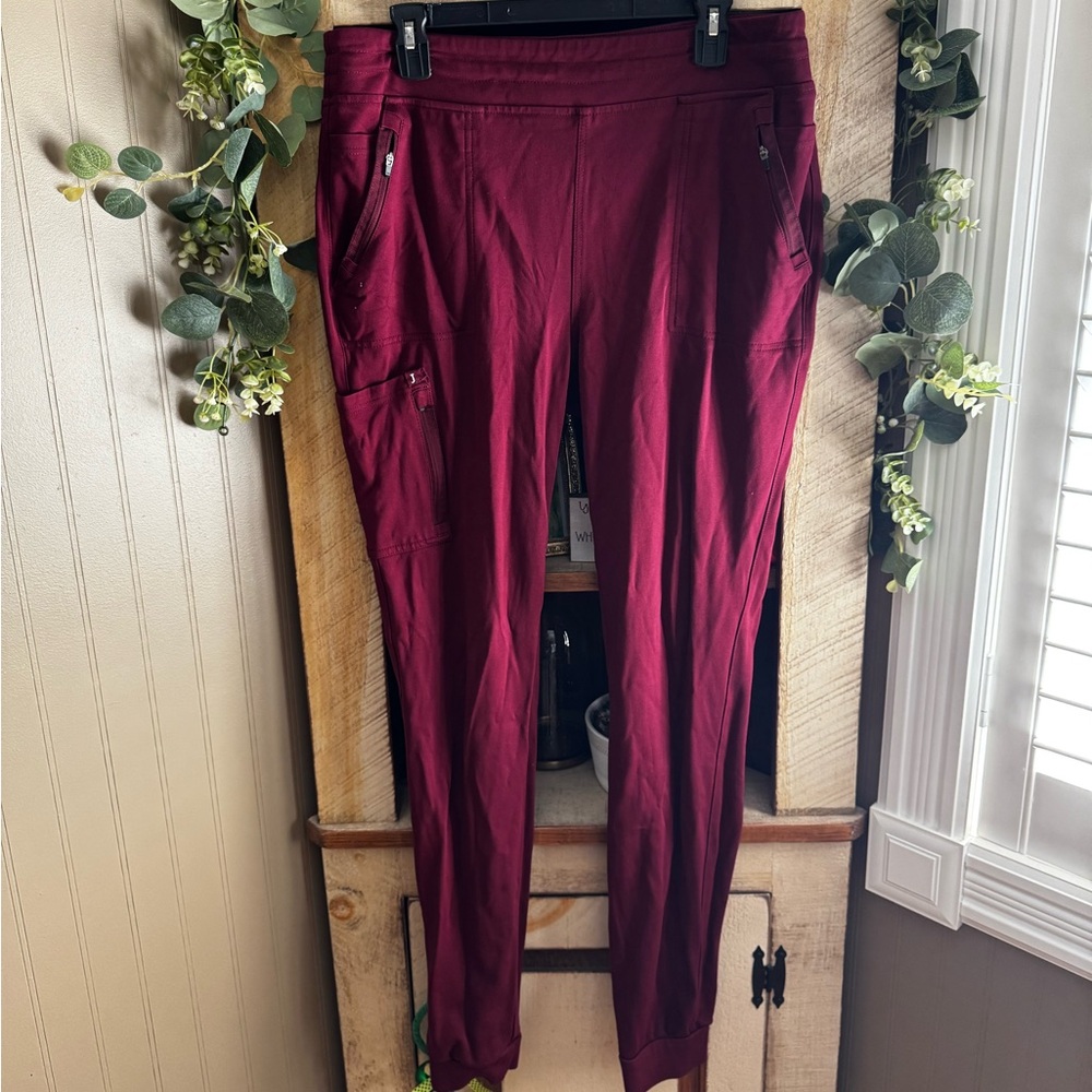 Jaanuu scrub pants- worn in fair condition. Tall